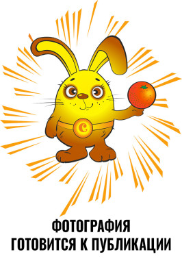 Берсенева Олеся Ивановна